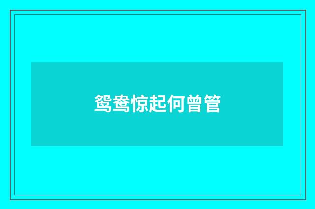 鸳鸯惊起何曾管