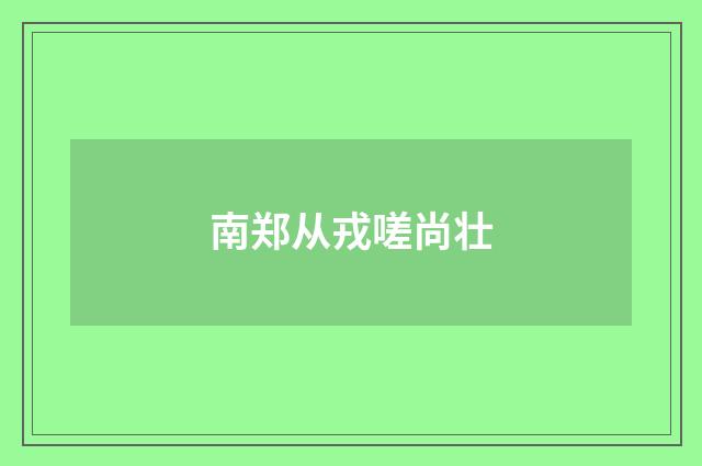 南郑从戎嗟尚壮