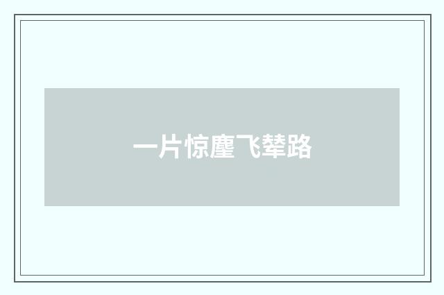 一片惊麈飞辇路