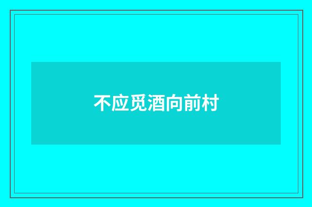 不应觅酒向前村