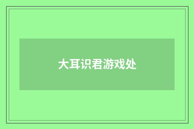 大耳识君游戏处