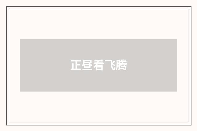 正昼看飞腾