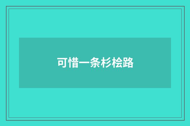 可惜一条杉桧路
