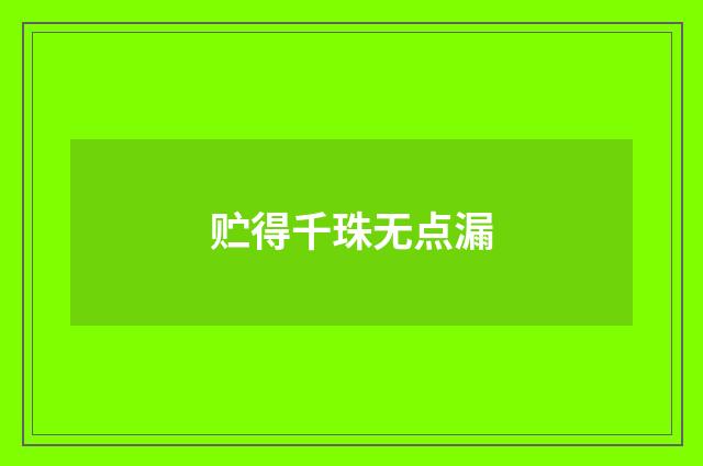 贮得千珠无点漏