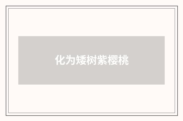 化为矮树紫樱桃