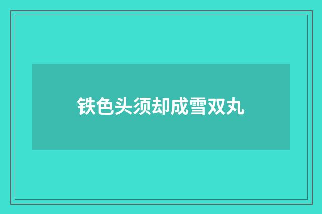 铁色头须却成雪双丸