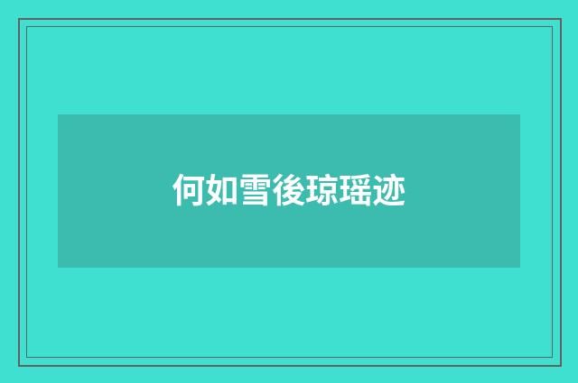 何如雪後琼瑶迹