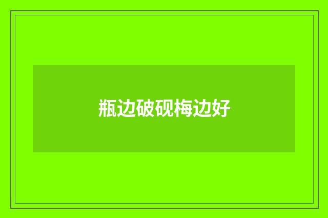瓶边破砚梅边好