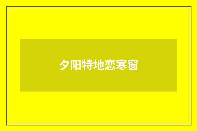 夕阳特地恋寒窗