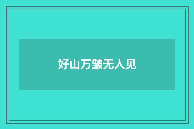 好山万皱无人见
