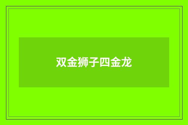 双金狮子四金龙