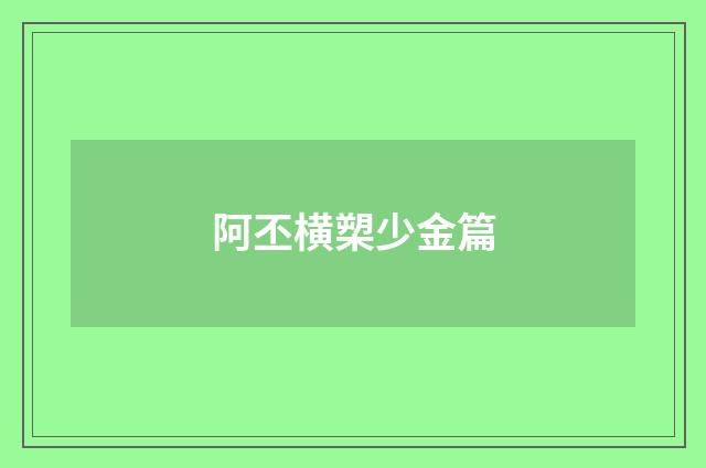 阿丕横槊少金篇