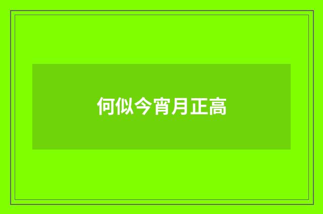 何似今宵月正高
