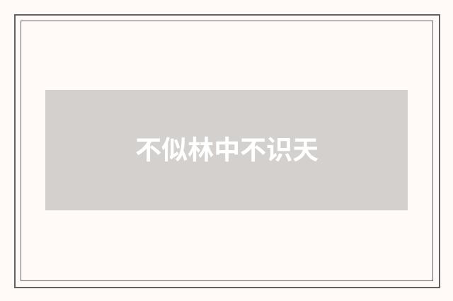 不似林中不识天