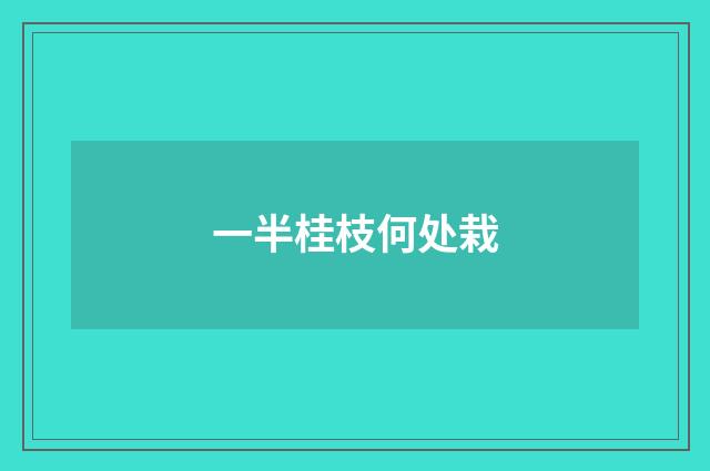 一半桂枝何处栽