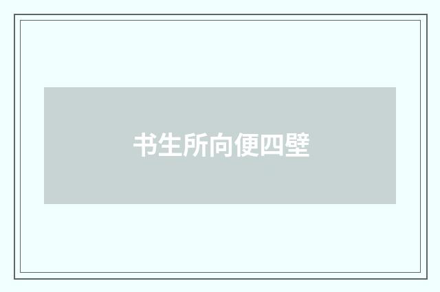 书生所向便四壁