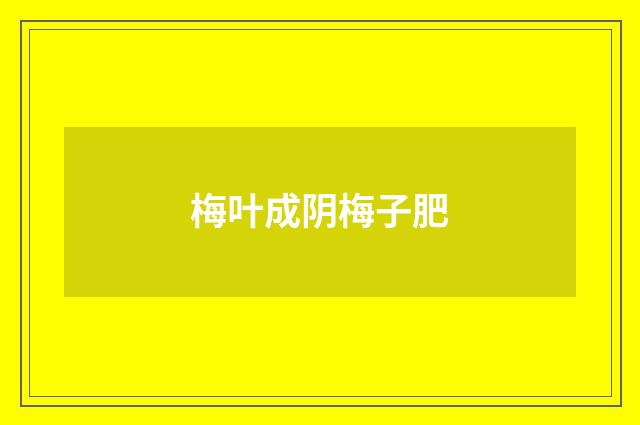 梅叶成阴梅子肥