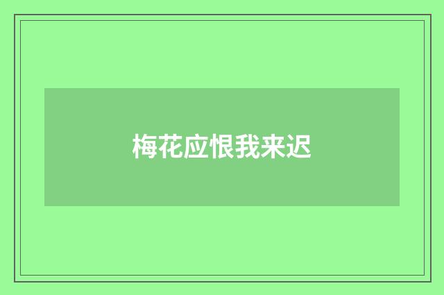 梅花应恨我来迟