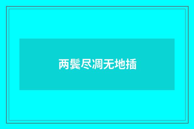 两鬓尽凋无地插