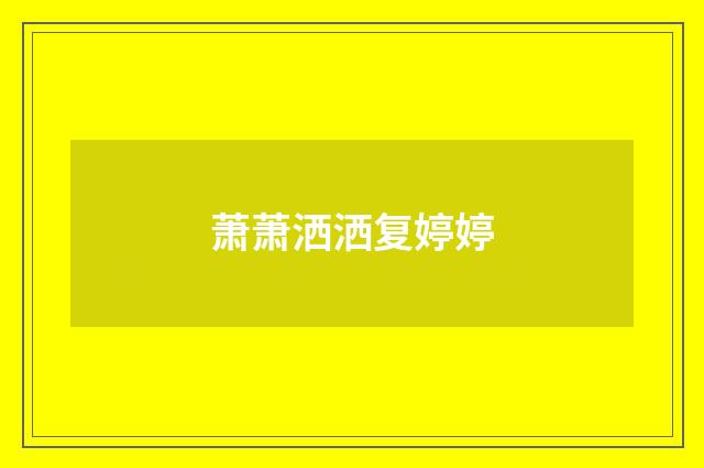 萧萧洒洒复婷婷