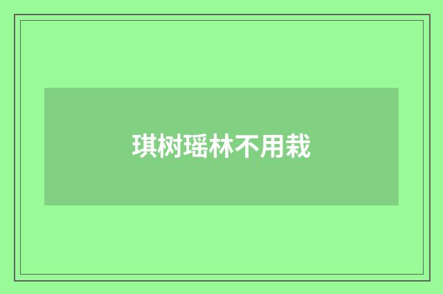 琪树瑶林不用栽