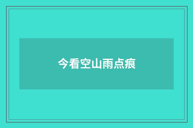 今看空山雨点痕