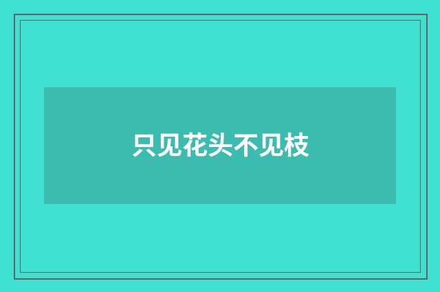 只见花头不见枝