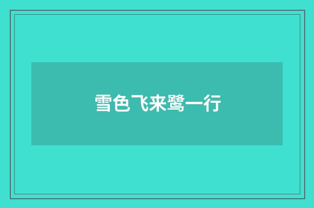 雪色飞来鹭一行