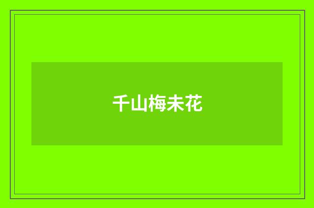 千山梅未花