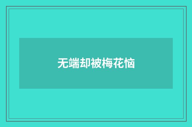 无端却被梅花恼