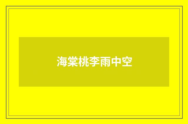海棠桃李雨中空