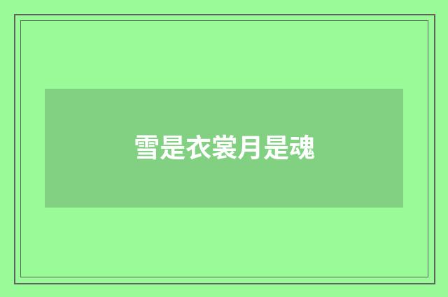 雪是衣裳月是魂
