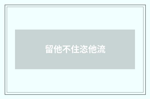 留他不住恣他流