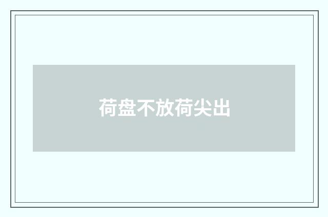 荷盘不放荷尖出