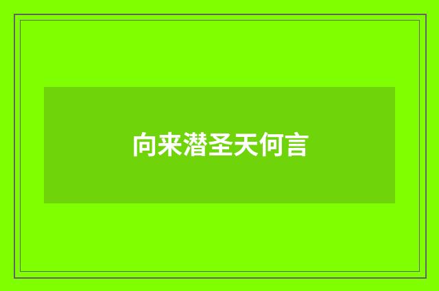 向来潜圣天何言