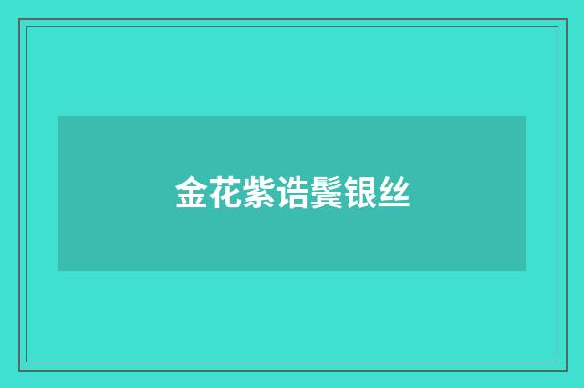 金花紫诰鬓银丝