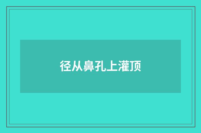径从鼻孔上灌顶