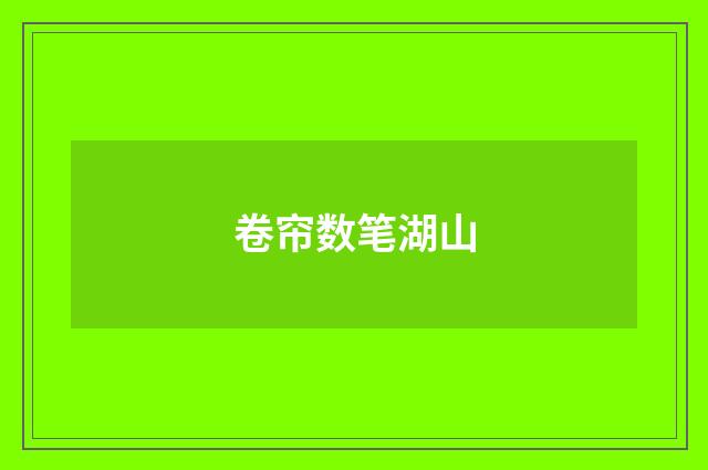 卷帘数笔湖山