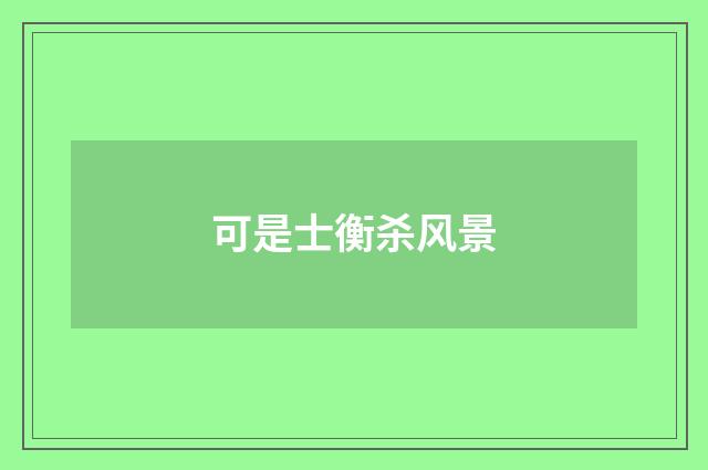 可是士衡杀风景