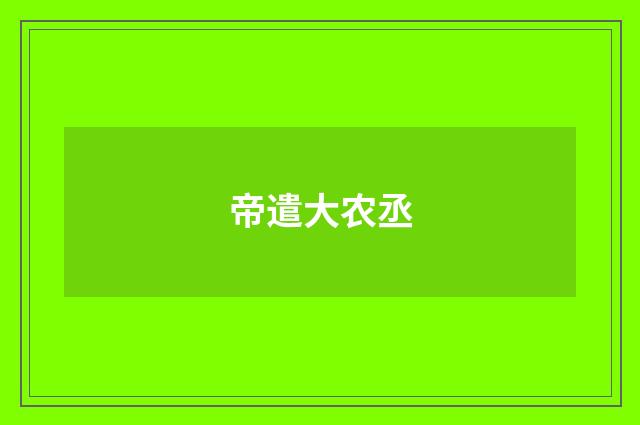 帝遣大农丞
