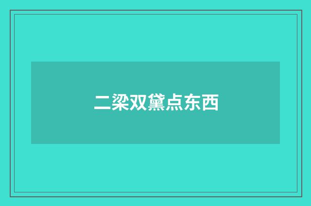 二梁双黛点东西