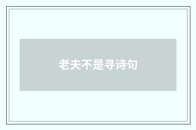 老夫不是寻诗句