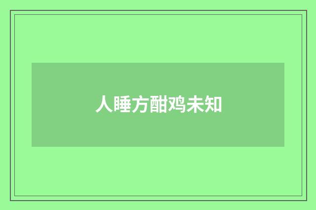 人睡方酣鸡未知