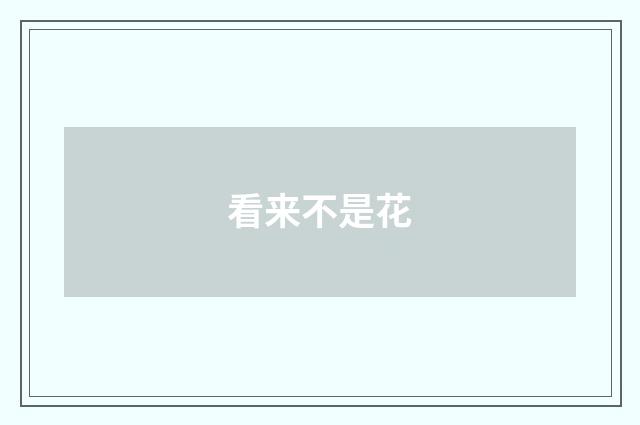 看来不是花