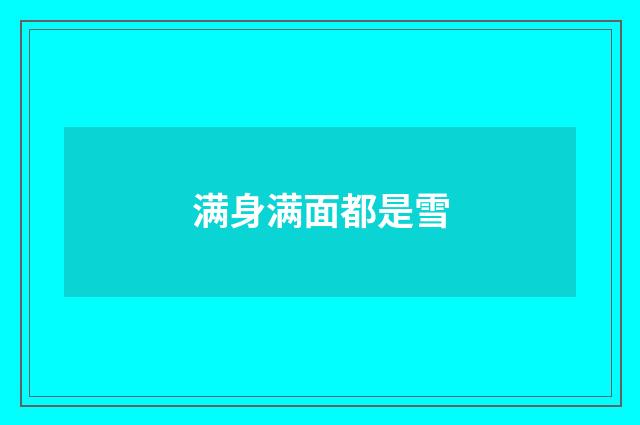 满身满面都是雪