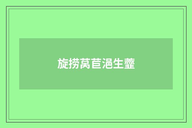 旋捞莴苣浥生虀