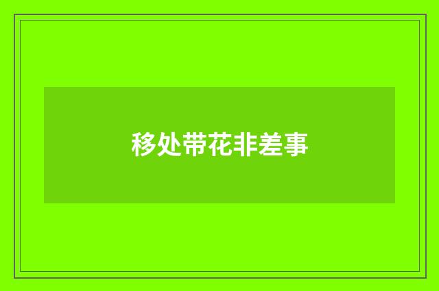 移处带花非差事