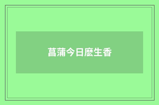 菖蒲今日麽生香