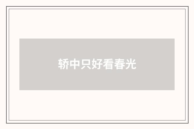 轿中只好看春光