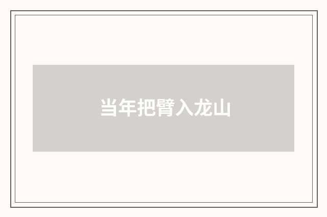 当年把臂入龙山